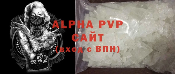 бошки Гусев