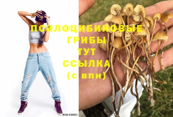соль курить ск Гусиноозёрск