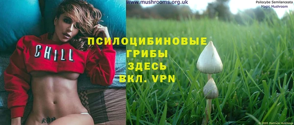 соль курить ск Гусиноозёрск